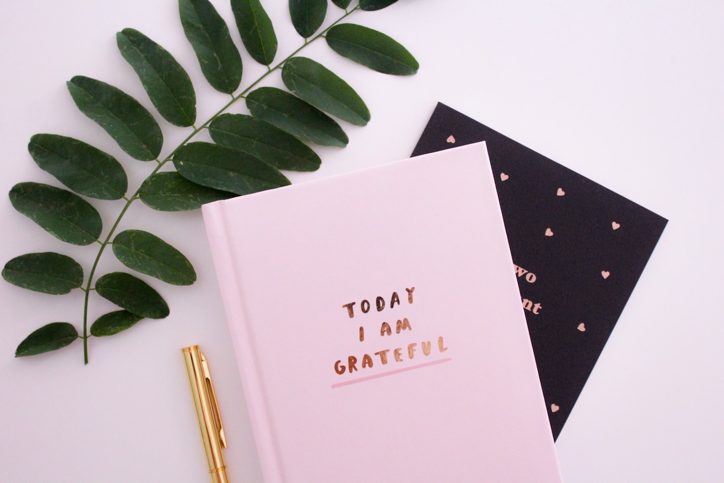 What I’ve Learned From Writing Daily